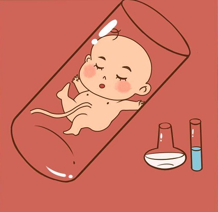 胚胎专家